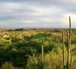Ventana Canyon G.C. - Mountain Course