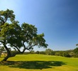 Vaaler Creek Golf Club - No. 8