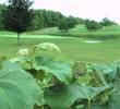 Bristol Harbour Resort - golf course - 6th hole