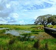 Indian River Preserve Golf Club - hole 18