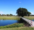 Palmetto Golf Club - No. 2