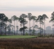 Burnt Pine Golf Club at Sandestin resort - 14th