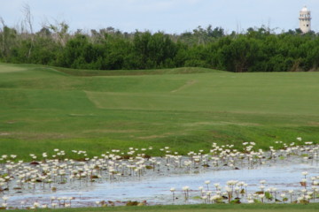 Cozumel Country Club