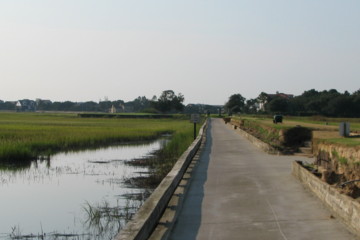 Pawleys Plantation