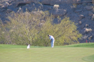 TPC Canyons Golf Course - Desert Bush
