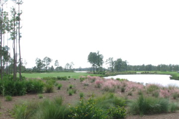 Old Corkscrew Golf Club