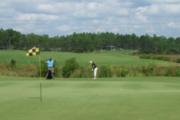 Shell Landing - No. 6