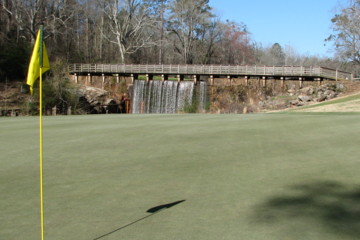 Creek Golf Course - Greens