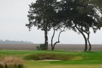 Palmetto Golf Course - The Landings