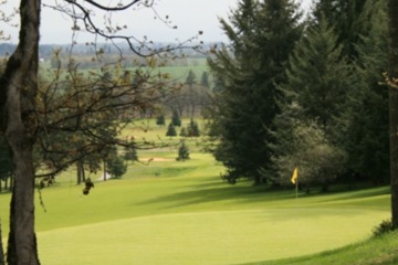 Diamond Woods Golf Course - No. 14