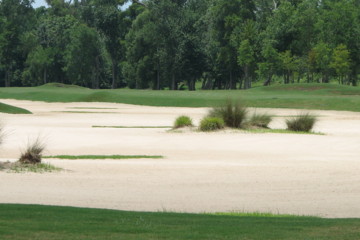 TPC Louisiana Golf Course