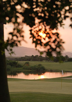 Palm Island Golf