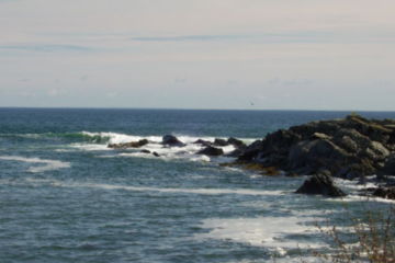 Maine's Coastline