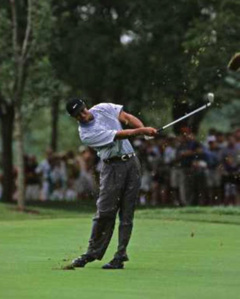 Tiger Woods