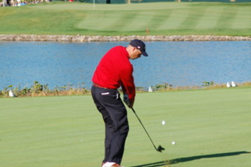 Stewart Cink