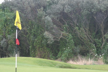 Royal Dublin GC - hole 12