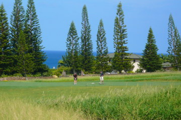 Plantation Course, Kapalua Resort