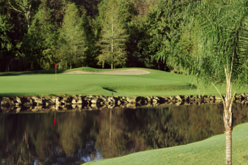 Walt Disney World - Palm Course