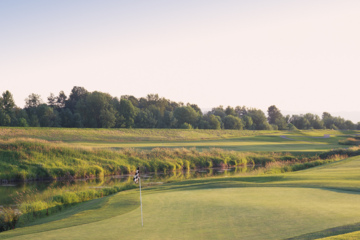 Great Blue @ Heron Lakes: #16
