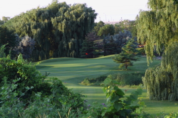 Derrydale Golf Club - No. 3