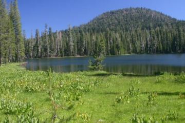 Lassen Park