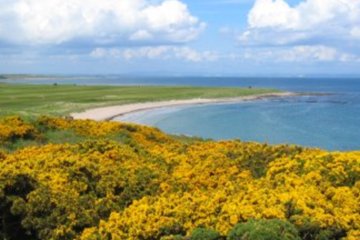 Balcomie Links golf course in Scotland