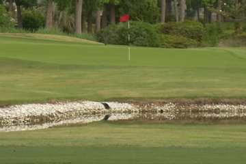 Oyster Bay Golf Links - hole 3