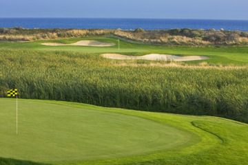 Links at Bodega Harbour - hole 16 and 17 greens