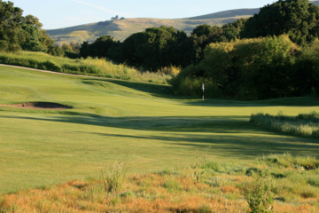 Chardonnay golf course - 8th