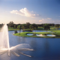 Doral Blue Monster
