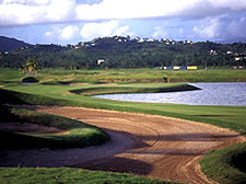 Flamboyan Course