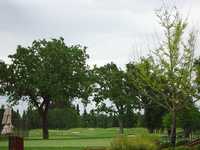 Sonoma GC