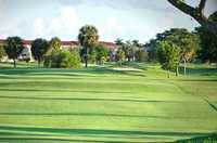 Flamingo Lakes GCC