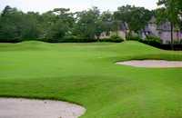 Metairie CC