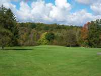 Wild Wood CC: #5