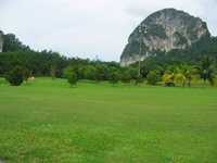 Perangsang Templer G & CC