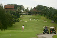 Saujana - Bunga Raya