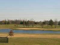 Wild Turkey Trace GC