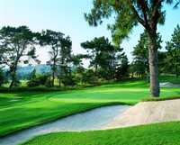 Vista at Los Coyotes CC: #8