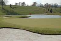 Ashley Plantation CC - Meadows: #9