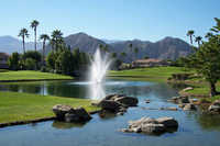 Palm Royale CC