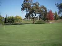 Indian Creek CC: #1