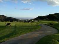 South at Mountain Gate CC: #3