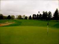 Bronson GC
