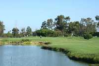 Palo Alto GC: #11