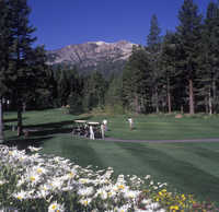 Sierra Star