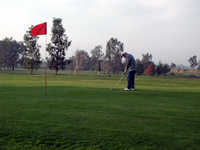 Forebay GC: #9