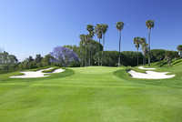 Saticoy CC: #18