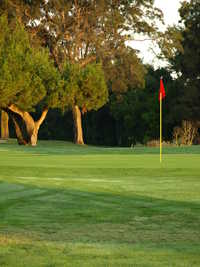 Sunnyvale Municipal GC