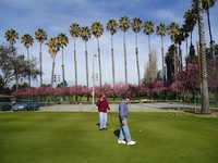 Sunken Gardens GC